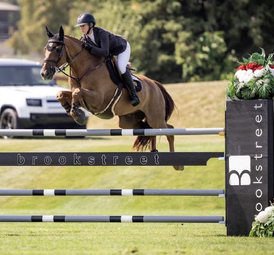 A woman jumping a bay horse over a fence in Ottawa.