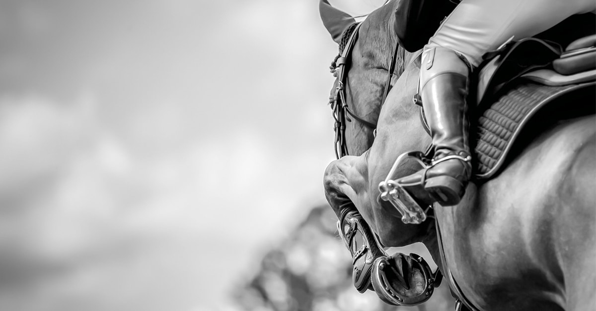 A black-and-white closeup of a horse jumping a fence.