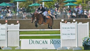 A man jumping a bay horse over a fence at Spruce Meadows.