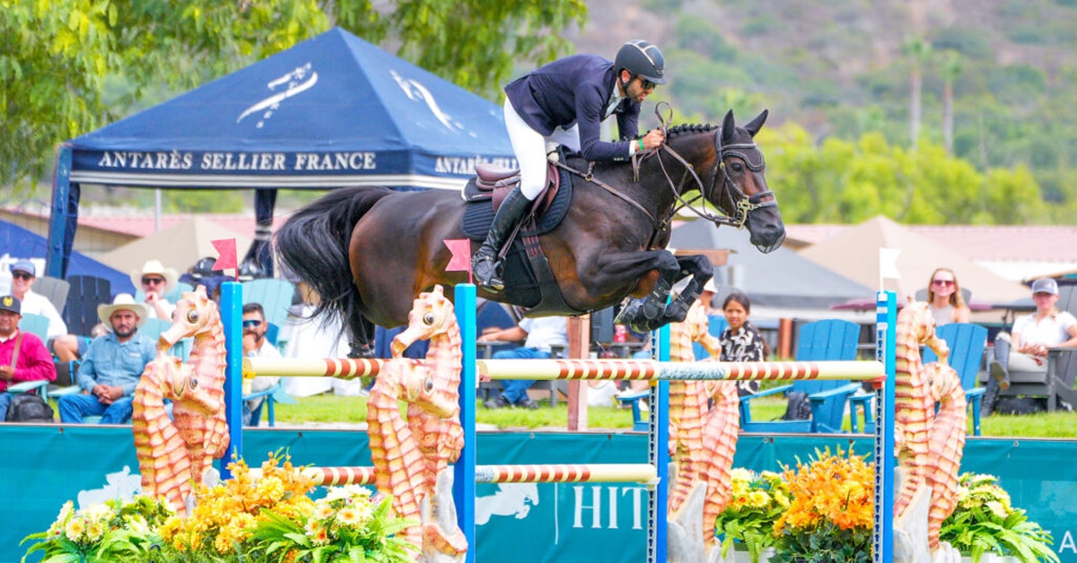 A man jumping a dark bay horse over a fence in Del Mar.