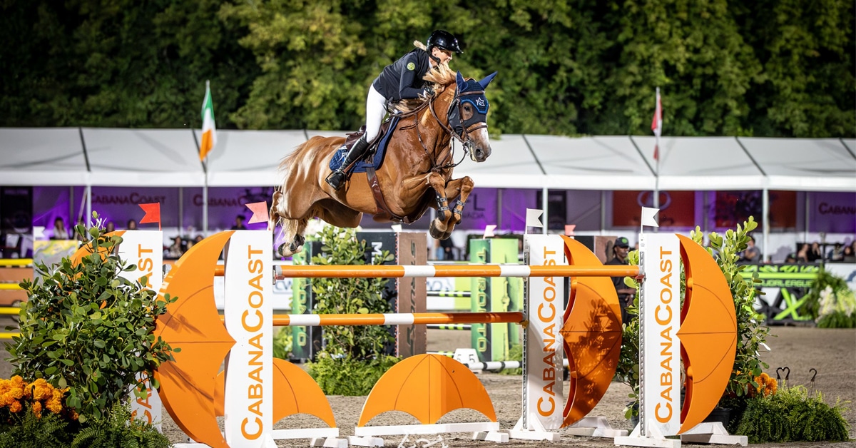 A woman jumping a chestnut horse over a fence in Erin.