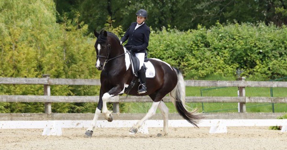 Thumbnail for Dressage/Para-Dressage National Championships 2025