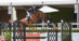 A man on a bay horse, jumping a fence at the Hampton Classic.