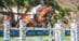 A woman jumping a bay horse over a fence in California.