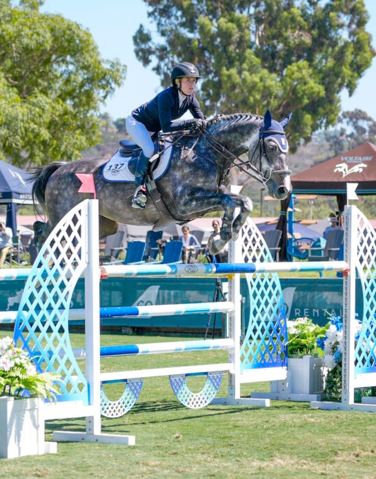 A woman riding a grey horse over a fence in California.