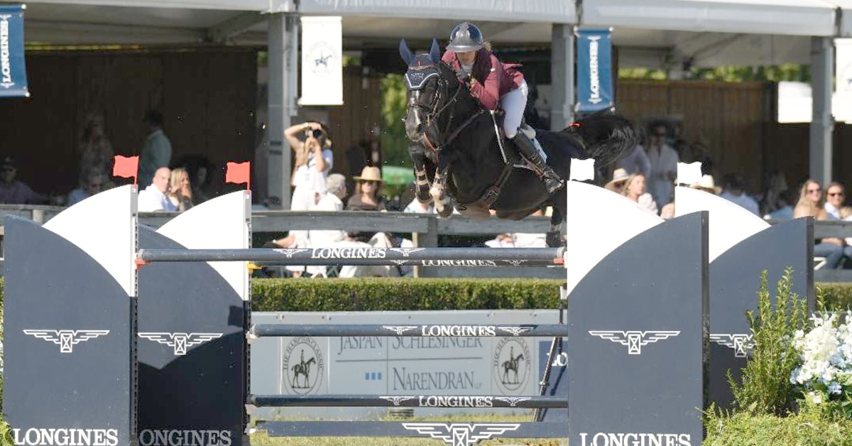 A woman jumping a dark bay horse over a fence in the Hamptons.