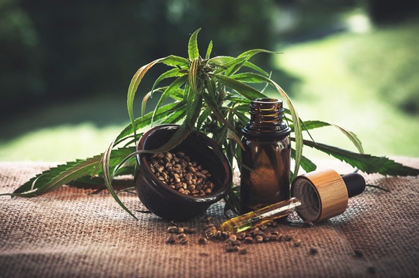 Hemp with seeds and oil.