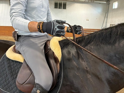 A man demonstrating the direct rein.
