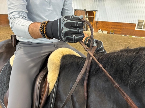 A man demonstrating the lifted rein.
