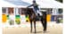 A woman with arms extended on a dark bay dressage horse.