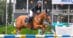 A woman jumping over a fence at Spruce Meadows on a chestnut mare.