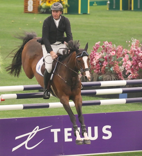 A man jumping a bay horse over a fence at Spruce Meadows.