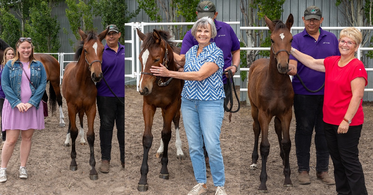 Three women posing with foals.