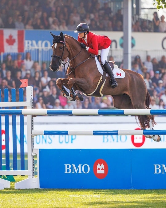 A woman jumping a bay horse over a fence at Spruce Meadow.