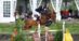 A man jumping a bay horse over a fence in New York.
