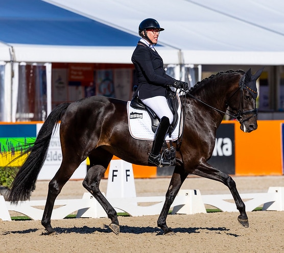 A female para rider on a dark bay horse.