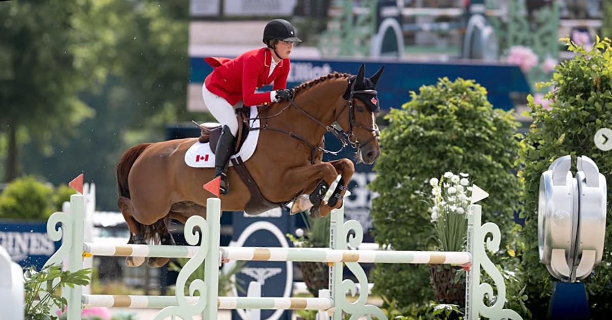 A woman in a red coat jumping a chestnut horse over a fence.
