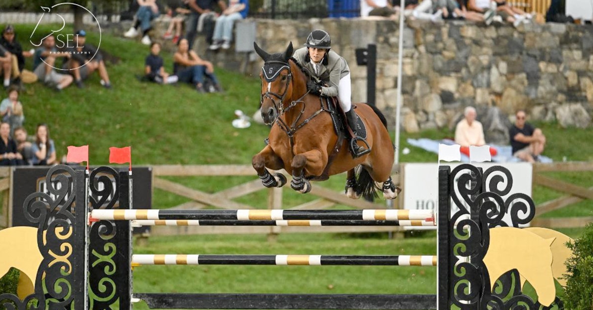 A woman jumping a bay horse over a fence in New York.