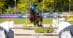 A man wearing a blue jacket jumping a dark bay horse over a fence at Traverse City.