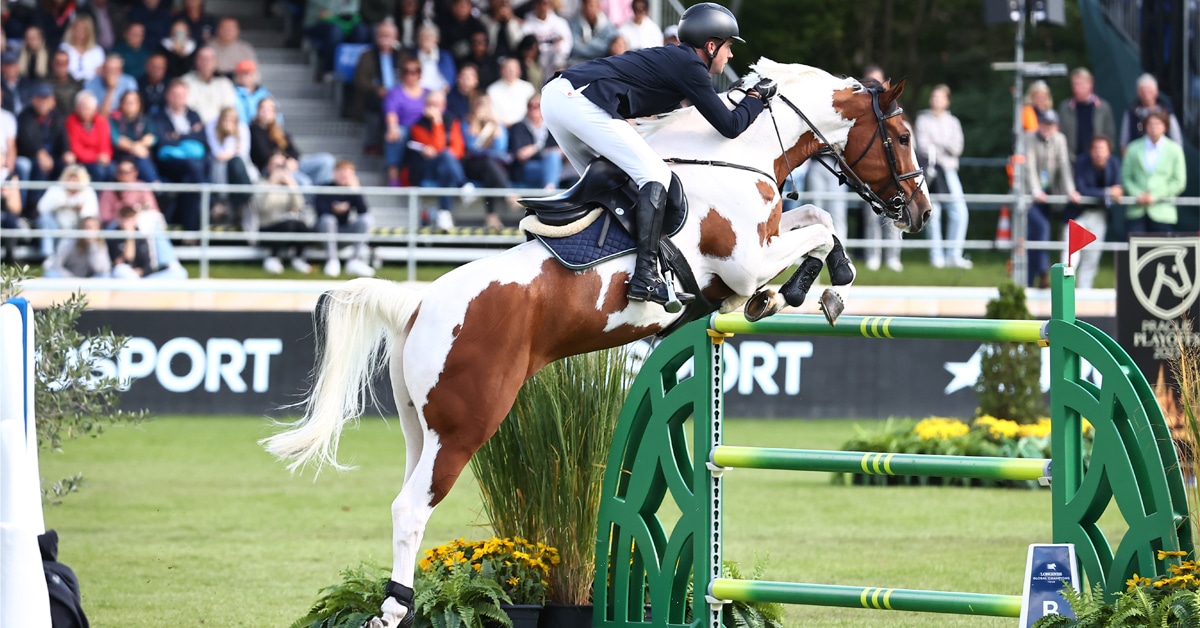 A man on a paint horse jumping a fence in Germany.