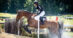 A woman riding a bay horse trhough a water jump at The Fork.
