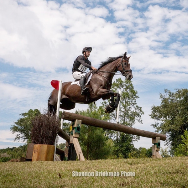 A man on a bay horse jumping a cross-country fence at Tryon.