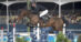 A man jumping a dark bay horse over a fence in St-Tropez.