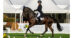 A man riding a bay eventing horse during a dressage test.