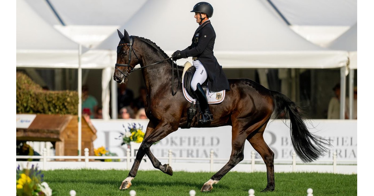A man riding a bay eventing horse during a dressage test.