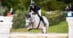 A woman jumping a grey horse over a fence at Traverse City.