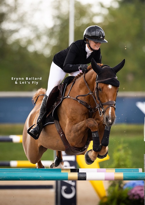 A woman jumping a bay horse over a fence at Traverse City.