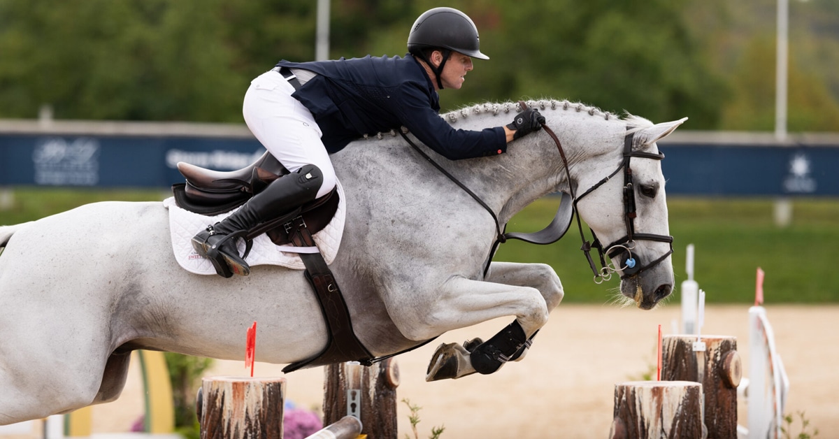A man jumping a grey horse over a fence at Traverse City.
