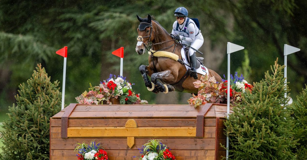 A woman jumping a cross-country fence on a bay horse.