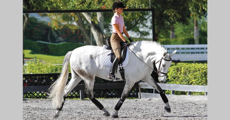 A woman on a grey horse performing a stretchy trot.