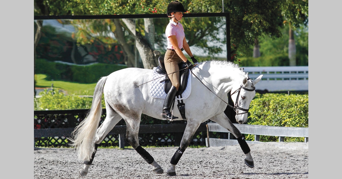 A woman on a grey horse performing a stretchy trot.