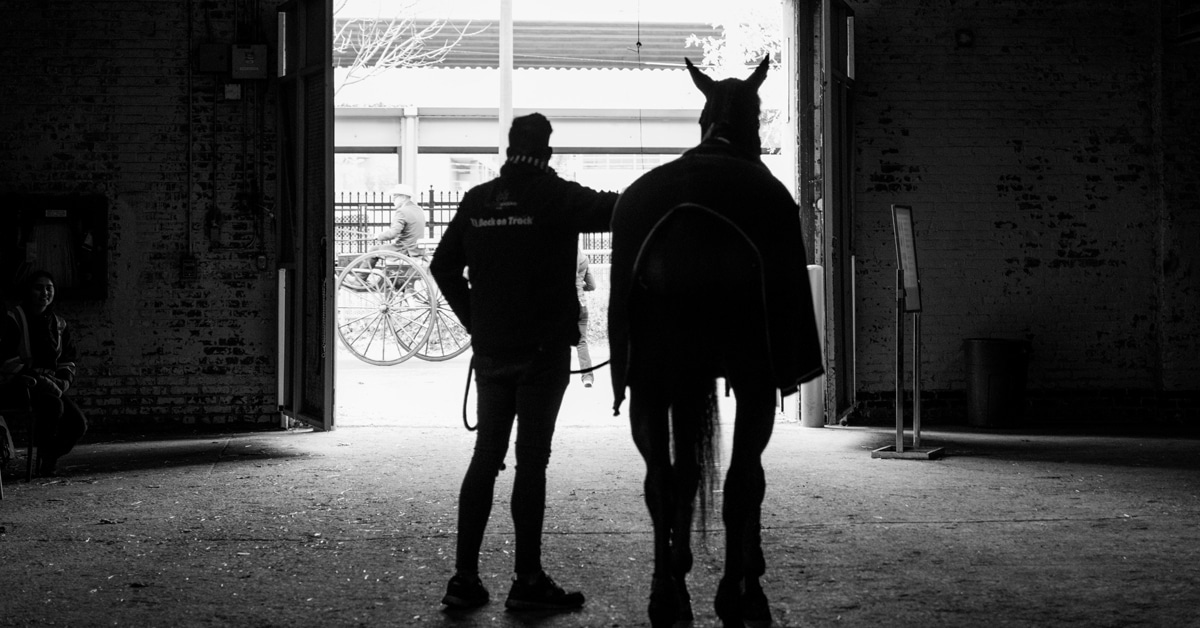 Black-and-white photo of a man leading a horse out of the Royal loading doors.