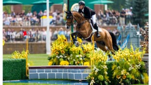A man on a bay horse jumping open water at Spruce Meadows.