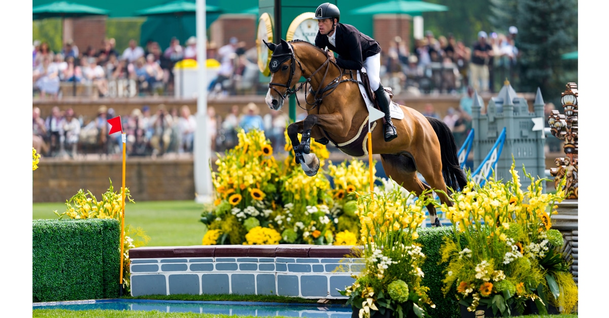 A man on a bay horse jumping open water at Spruce Meadows.