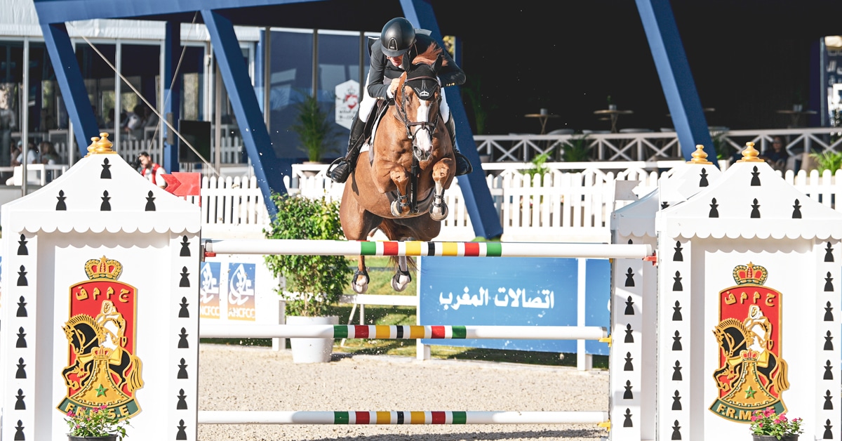 A man jumping a fence in Rabat on a chestnut gelding.