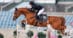 A woman jumping a chestnut horse over a fence in Kentucky.