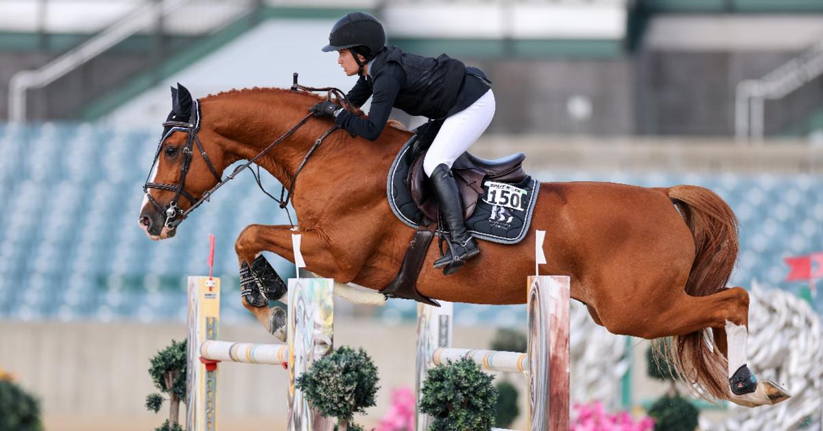 A woman jumping a chestnut horse over a fence in Kentucky.