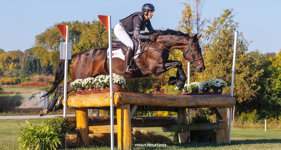 A woman jumping a bay horse over a cross-country fence in Ottawa.