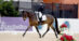 A woman riding a bay dressage horse in trot.