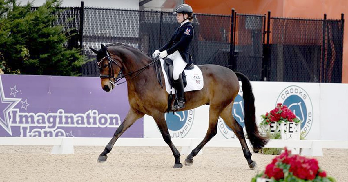 A woman riding a bay dressage horse in trot.