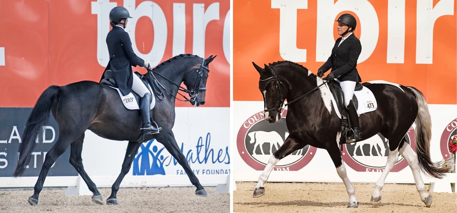 Two riders on dressage horses.