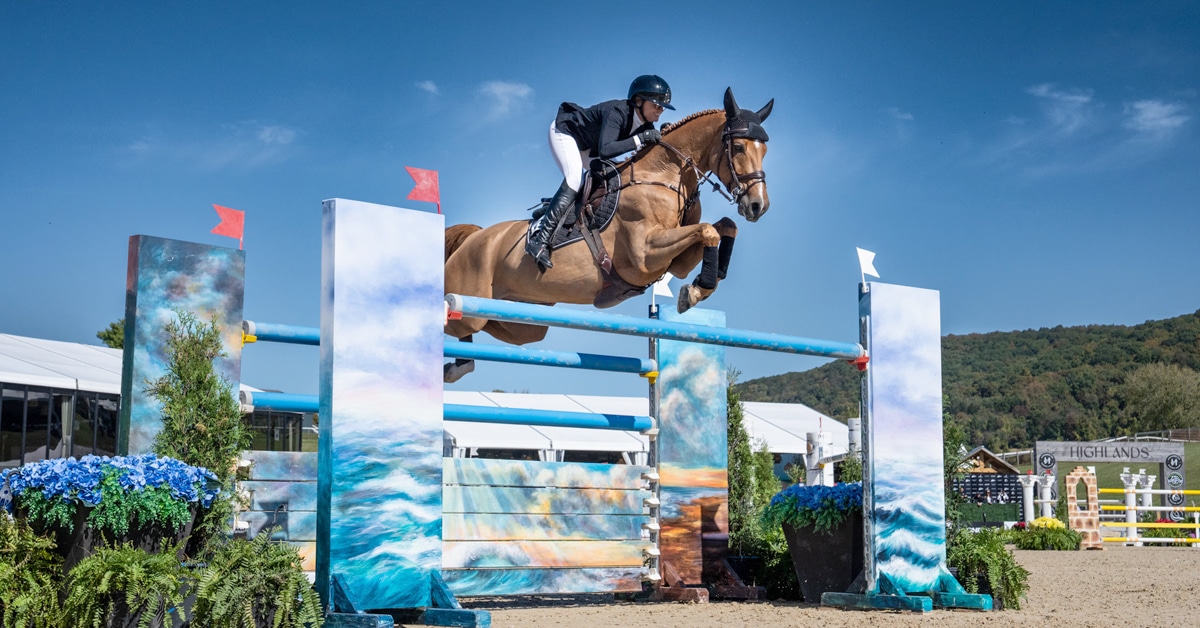 A woman jumping a chestnut horse over a fence in New York.