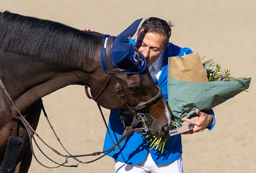 A man kissing a bay horse.