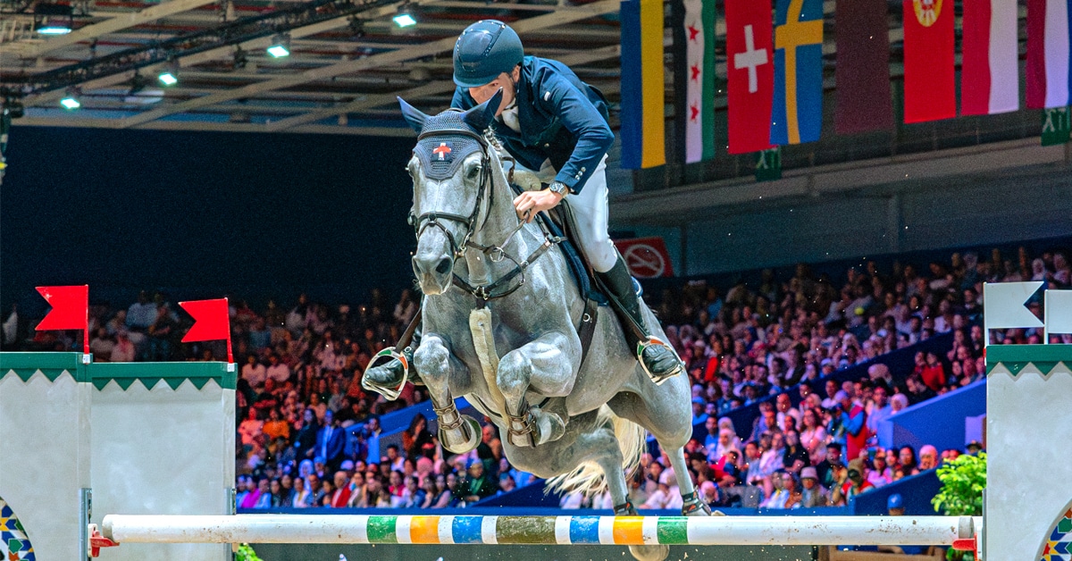 A man jumping a grey horse over a fence in Morocco.