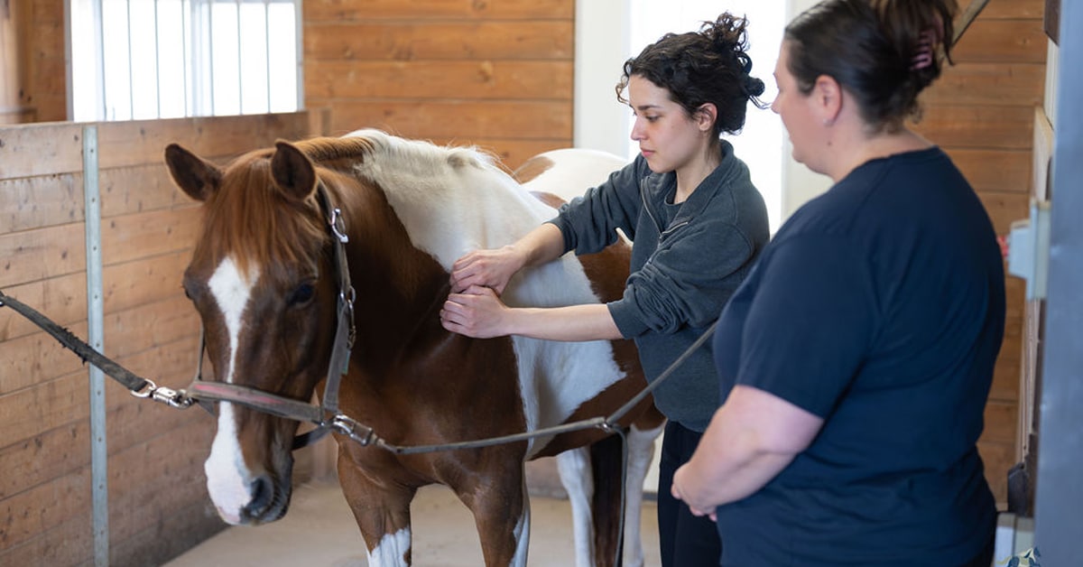 Two women in a stall with a horse.