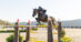 A man jumping a bay mare over a fence in New York.